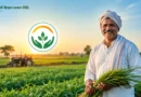 प्रधानमंत्री किसान सम्मान निधि योजना: किसानों के लिए आर्थिक सहायता की महत्वपूर्ण पहल प्रधानमंत्री किसान सम्मान निधि योजना
