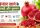 अनार खाने के फायदे और नुकसान: रोज़ अनार खाने से शरीर को क्या लाभ मिलते हैं? अनार खाने के फायदे और नुकसान: रोज़ अनार खाने से शरीर को क्या लाभ मिलते हैं?