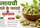 इलायची खाने के फायदे और नुकसान: जानिए रोज़ाना सेवन करने के सही तरीके