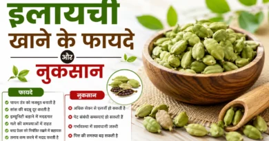 इलायची खाने के फायदे और नुकसान: जानिए रोज़ाना सेवन करने के सही तरीके