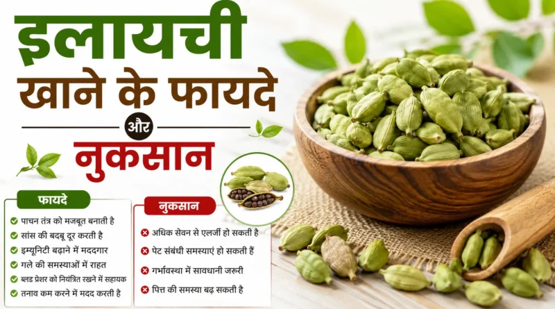 इलायची खाने के फायदे और नुकसान: जानिए रोज़ाना सेवन करने के सही तरीके
