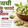 इलायची खाने के फायदे और नुकसान: जानिए रोज़ाना सेवन करने के सही तरीके