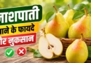 नाशपाती खाने के फायदे और नुकसान: जानिए सही समय, सही मात्रा और जरूरी सावधानियां नाशपाती खाने के फायदे और नुकसान: जानिए सही समय, सही मात्रा और जरूरी सावधानियां