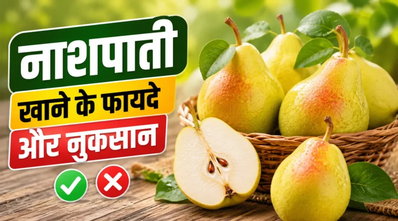 नाशपाती खाने के फायदे और नुकसान: जानिए सही समय, सही मात्रा और जरूरी सावधानियां