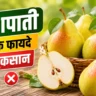 नाशपाती खाने के फायदे और नुकसान: जानिए सही समय, सही मात्रा और जरूरी सावधानियां