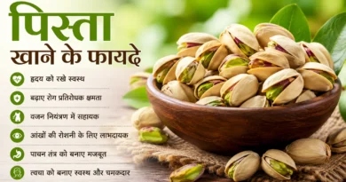पिस्ता खाने के फायदे, Pistachio Benefits in Hindi, पिस्ता के फायदे, Pistachio Benefits, Dry Fruits Benefits, Healthy Dry Fruits, पिस्ता खाने का सही समय, पिस्ता के नुकसान, Pistachio Nutrition, पिस्ता कैसे खाएं, हेल्दी ड्राई फ्रूट्स, पिस्ता खाने के लाभ, पिस्ता खाने से क्या होता है, Dry Fruits in Hindi, Healthy Lifestyle