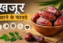 खजूर खाने के फायदे: सेहत के लिए प्रकृति का मीठा उपहार