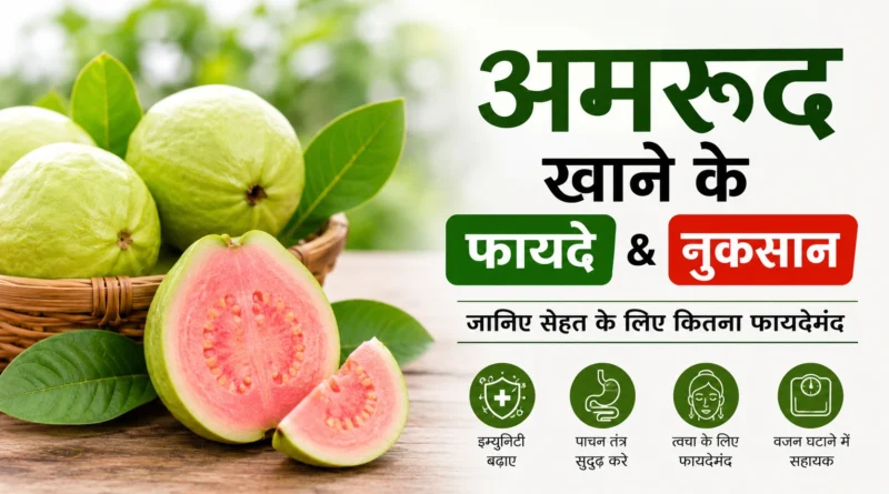 #अमरूद #अमरूदकेफायदे #अमरूदकेनुकसान #HealthTips #GuavaBenefits #HealthyDiet #Nutrition #FruitBenefits