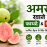 #अमरूद #अमरूदकेफायदे #अमरूदकेनुकसान #HealthTips #GuavaBenefits #HealthyDiet #Nutrition #FruitBenefits