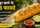 भुट्टा खाने के फायदे, मक्का खाने के फायदे, कॉर्न खाने के फायदे, roasted corn benefits, sweet corn benefits, भुट्टा के लाभ, मक्का के लाभ, corn benefits in hindi, healthy snacks, weight loss corn