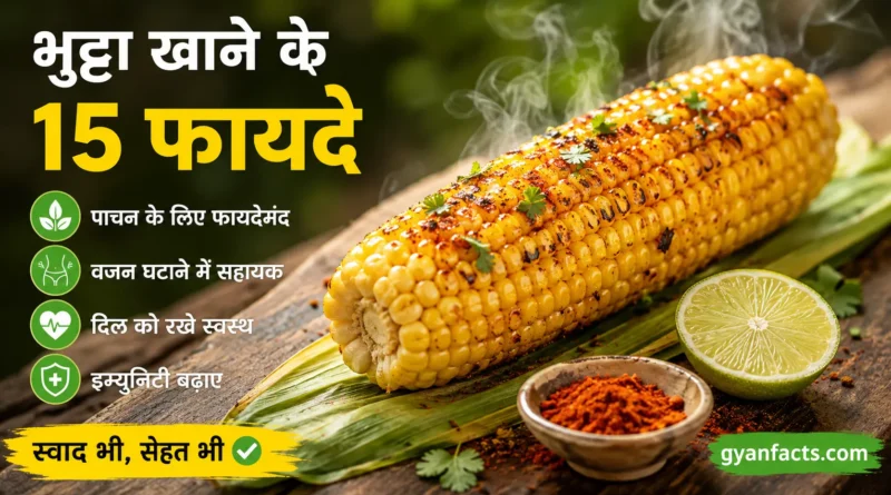 भुट्टा खाने के फायदे, मक्का खाने के फायदे, कॉर्न खाने के फायदे, roasted corn benefits, sweet corn benefits, भुट्टा के लाभ, मक्का के लाभ, corn benefits in hindi, healthy snacks, weight loss corn