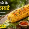 भुट्टा खाने के फायदे, मक्का खाने के फायदे, कॉर्न खाने के फायदे, roasted corn benefits, sweet corn benefits, भुट्टा के लाभ, मक्का के लाभ, corn benefits in hindi, healthy snacks, weight loss corn