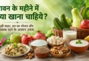 सावन के महीने में क्या खाना चाहिए, सावन में क्या खाएं, सावन डाइट प्लान, सावन में हेल्दी भोजन, सावन व्रत में क्या खाएं, श्रावण माह का भोजन, सावन में फलाहार, सावन में खाने योग्य फल, सावन हेल्थ टिप्स, बारिश के मौसम में क्या खाना चाहिए, सावन स्पेशल डाइट, सावन फास्ट फूड, सावन में कौन सी सब्जी खानी चाहिए, सावन में क्या नहीं खाना चाहिए, सावन स्वास्थ्य टिप्स, healthy food in sawan, sawan diet, shravan food, fasting food, monsoon healthy diet