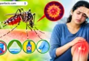 Chikungunya in Hindi: चिकनगुनिया के लक्षण, कारण और बचाव के आसान उपाय Chikungunya Symptoms in Hindi, Chikungunya Prevention in Hindi, Chikungunya Causes, Chikungunya Treatment in Hindi, चिकनगुनिया के लक्षण