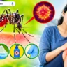 Chikungunya Symptoms in Hindi, Chikungunya Prevention in Hindi, Chikungunya Causes, Chikungunya Treatment in Hindi, चिकनगुनिया के लक्षण