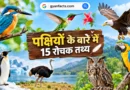 पक्षियों के बारे में रोचक तथ्य, पक्षियों के रोचक तथ्य, birds facts in hindi, birds facts, पक्षियों के बारे में जानकारी, पक्षियों की जानकारी, पक्षियों के अनोखे तथ्य, दुनिया के अनोखे पक्षी, पक्षी कैसे उड़ते हैं, पक्षियों की खासियत