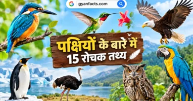 पक्षियों के बारे में रोचक तथ्य, पक्षियों के रोचक तथ्य, birds facts in hindi, birds facts, पक्षियों के बारे में जानकारी, पक्षियों की जानकारी, पक्षियों के अनोखे तथ्य, दुनिया के अनोखे पक्षी, पक्षी कैसे उड़ते हैं, पक्षियों की खासियत