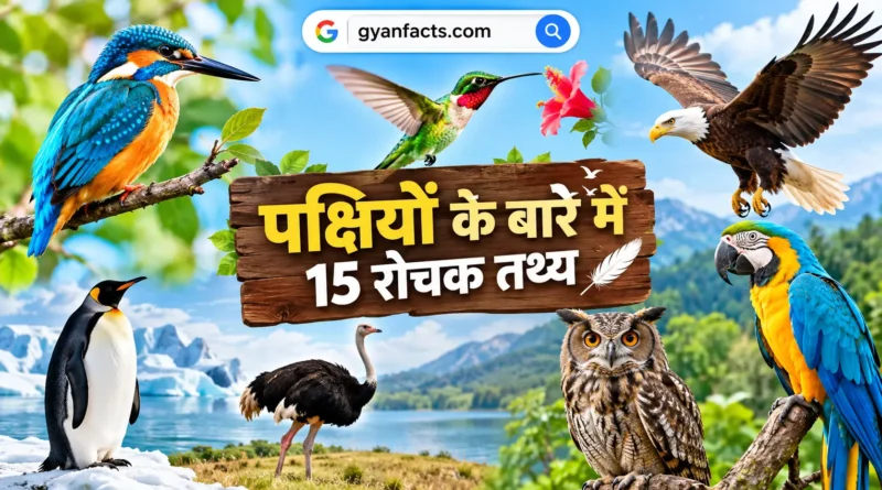 पक्षियों के बारे में रोचक तथ्य, पक्षियों के रोचक तथ्य, birds facts in hindi, birds facts, पक्षियों के बारे में जानकारी, पक्षियों की जानकारी, पक्षियों के अनोखे तथ्य, दुनिया के अनोखे पक्षी, पक्षी कैसे उड़ते हैं, पक्षियों की खासियत