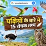 पक्षियों के बारे में रोचक तथ्य, पक्षियों के रोचक तथ्य, birds facts in hindi, birds facts, पक्षियों के बारे में जानकारी, पक्षियों की जानकारी, पक्षियों के अनोखे तथ्य, दुनिया के अनोखे पक्षी, पक्षी कैसे उड़ते हैं, पक्षियों की खासियत